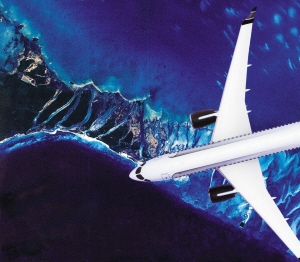 ۽ŷտ